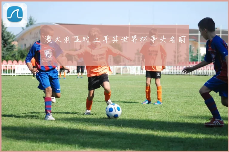 澳大利亚对土耳其世界杯争头名前瞻
