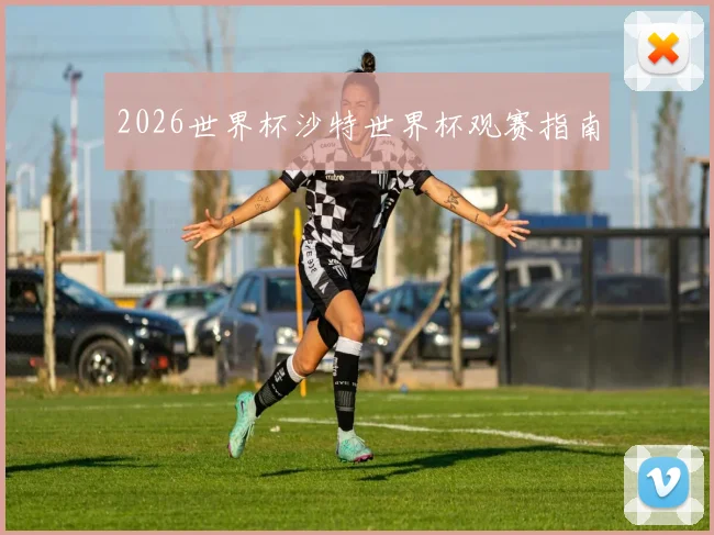 2026世界杯沙特世界杯观赛指南