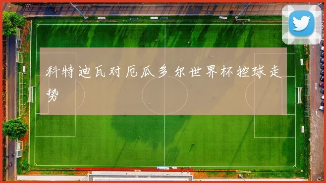 科特迪瓦对厄瓜多尔世界杯控球走势