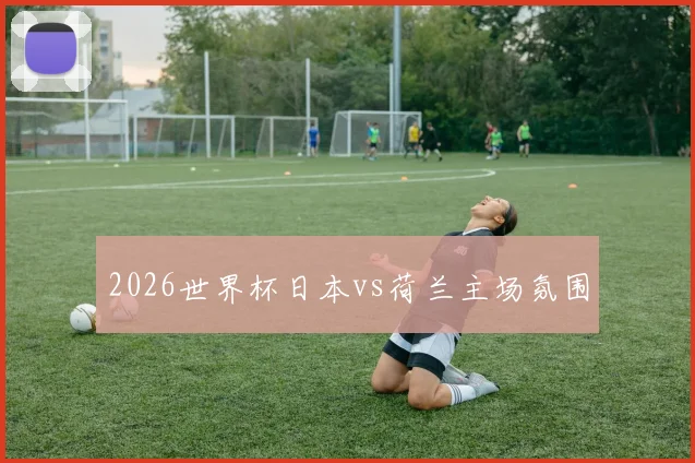 2026世界杯日本vs荷兰主场氛围