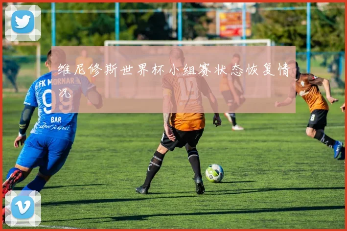 维尼修斯世界杯小组赛状态恢复情况