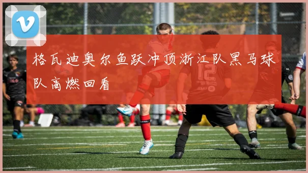 格瓦迪奥尔鱼跃冲顶浙江队黑马球队高燃回看