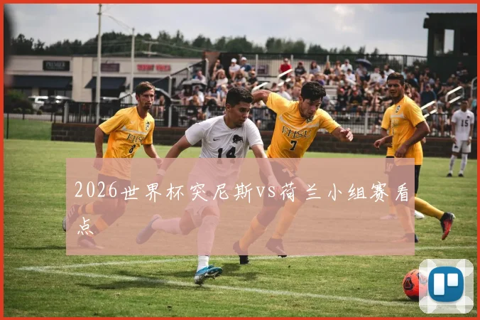 2026世界杯突尼斯vs荷兰小组赛看点