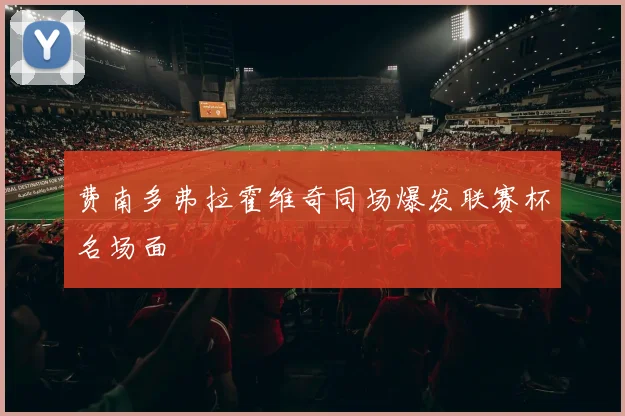 费南多弗拉霍维奇同场爆发联赛杯名场面