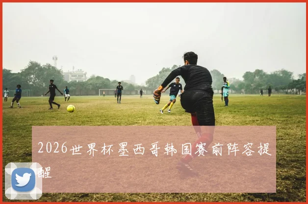 2026世界杯墨西哥韩国赛前阵容提醒