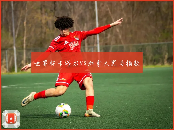 世界杯卡塔尔vs加拿大黑马指数